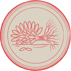 L’assimilation : blessures profondes